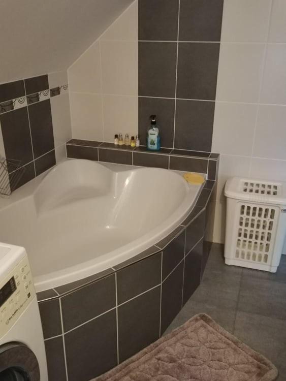 Apartman Damiko Apartment Chřibská Екстериор снимка
