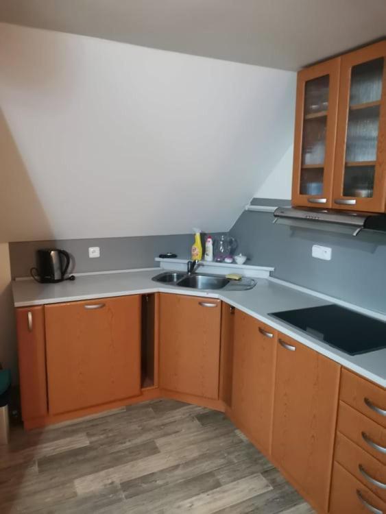 Apartman Damiko Apartment Chřibská Екстериор снимка