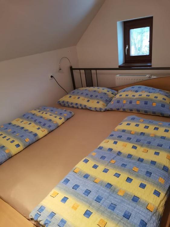 Apartman Damiko Apartment Chřibská Екстериор снимка